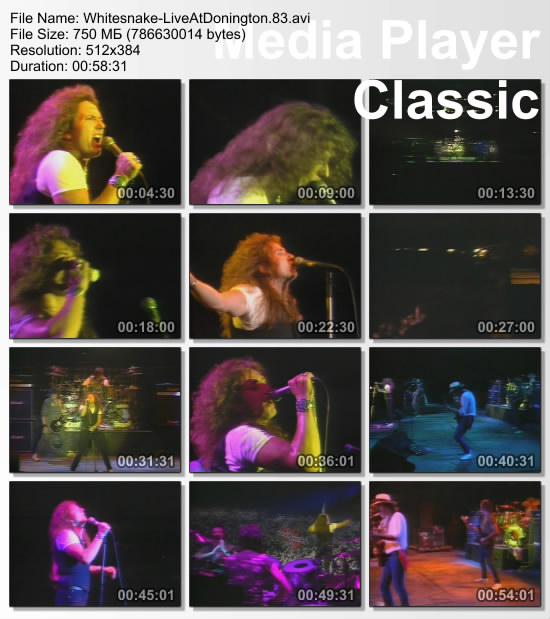 Whitesnake - Live in Donington